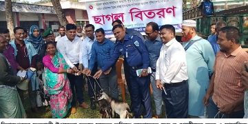 ফুলবাড়ীতে ক্ষুদ্র নৃ-গোষ্ঠীদের মাঝে  ছাগল বিতরণ