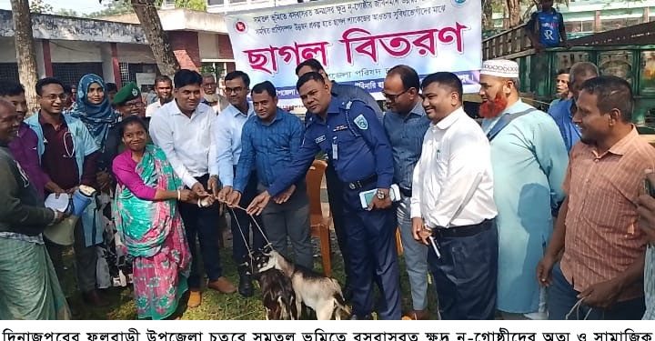 ফুলবাড়ীতে ক্ষুদ্র নৃ-গোষ্ঠীদের মাঝে  ছাগল বিতরণ