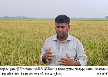 ফুলবাড়ীতে পূর্ব শত্রুতার জের ধরে সাত বিঘা ধান খেত নষ্ট
