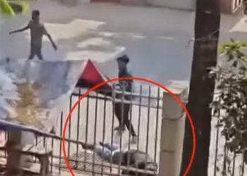 আদালতে হাজিরা দিতে আসা দুই আসামিকে গুলি করে হত্যা