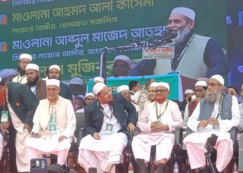 ক্ষমতায় যাওয়ার জন্য ডাবল পাগল হয়েছে ক্ষমতালোভীরা, চরমোনাই পীর