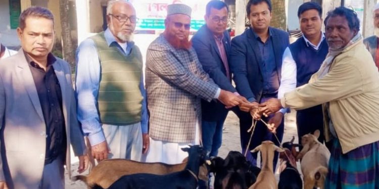 মিঠাপুকুরে ক্ষুদ্র নৃ-গোষ্ঠীদের মাঝে ছাগল বিতরণ