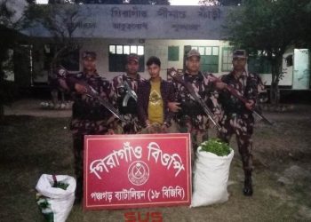 ভারতীয় কাঁচা চা পাতা চোরাই পথে নিয়ে আসার সময় আটোয়ারীতে বিজিবি’র হাতে  আটক-১