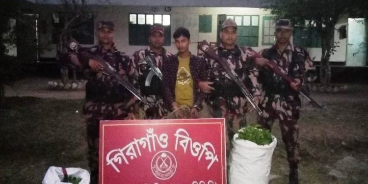 ভারতীয় কাঁচা চা পাতা চোরাই পথে নিয়ে আসার সময় আটোয়ারীতে বিজিবি’র হাতে  আটক-১