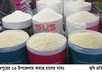 দিনাজপুরের ১৩ উপজেলায় কমছে চালের  দাম
