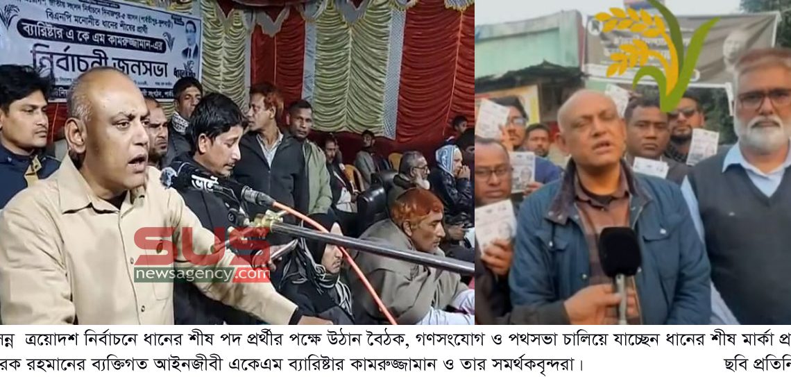 আসন্ন ত্রয়োদশ নির্বাচনে ধানের শীষ পদ প্রর্থীর পক্ষে উঠান বৈঠক ও  গণসংযোগ