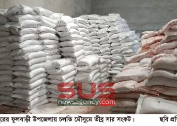 ফুলবাড়ীতে তীব্র সার সংকট