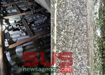 শিলা বৃষ্টিতে ফল ও বাড়িঘরের  ব্যাপক ক্ষয়ক্ষতি