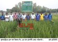 প্রাণ বঙ্গ মিলাস্ লিঃ এর ধান প্রদর্শনী ক্ষেত পরিদর্শন