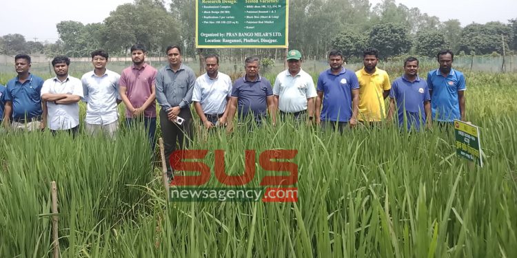 প্রাণ বঙ্গ মিলাস্ লিঃ এর ধান প্রদর্শনী ক্ষেত পরিদর্শন