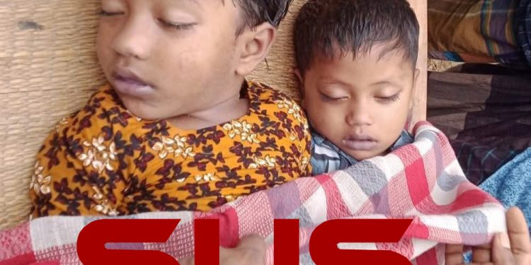 ফুলবাড়ী উপজেলার খয়েরবাড়ীতে পুকুরে ডুবে দুই ভাই বোনের মর্মান্তিক মৃত্যু