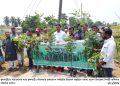 ফুলবাড়ীতে সারাদেশের ন্যায় ফুলবাড়ী পৌরসভায় বৃক্ষরোপণ কর্মসূচির উদ্বোধন