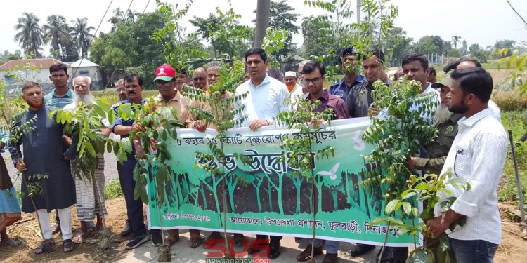 ফুলবাড়ীতে সারাদেশের ন্যায় ফুলবাড়ী পৌরসভায় বৃক্ষরোপণ কর্মসূচির উদ্বোধন