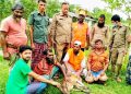 বাংলাদেশে প্রাণী উদ্ধার ও সুরক্ষা: আমাদের করণীয়