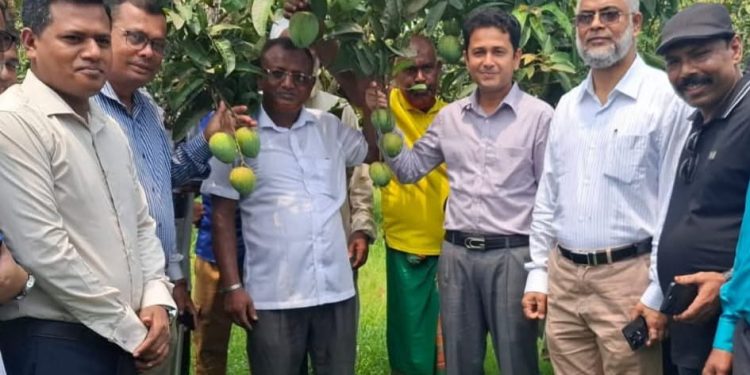 পদাগঞ্জ স্কুল এন্ড কলেজ মাঠে জিআই পণ্য হাড়িভাঙ্গা আমের হারভেস্টিং অনুষ্ঠান ও বাজারজাত শুরু